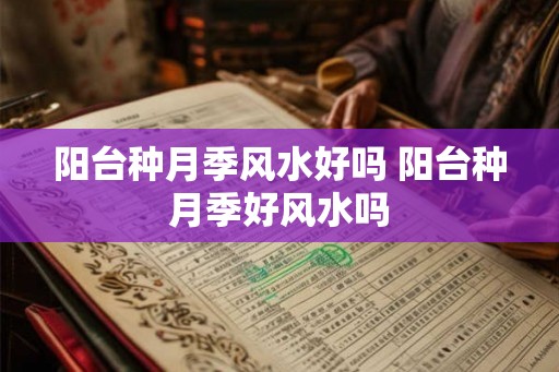 阳台种月季风水好吗 阳台种月季好风水吗 阳台种月季风水好吗 阳台种月季好风水吗