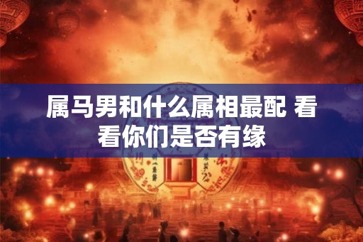 属马男和什么属相最配 看看你们是否有缘