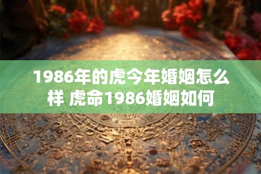 1986年的虎今年婚姻怎么样 虎命1986婚姻如何 1986年的虎今年婚姻怎么样 虎命1986婚姻如何