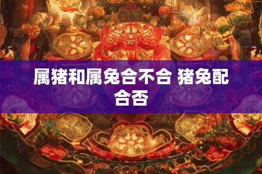 属猪和属兔合不合 猪兔配合否 属猪和属兔合不合 猪兔配合否