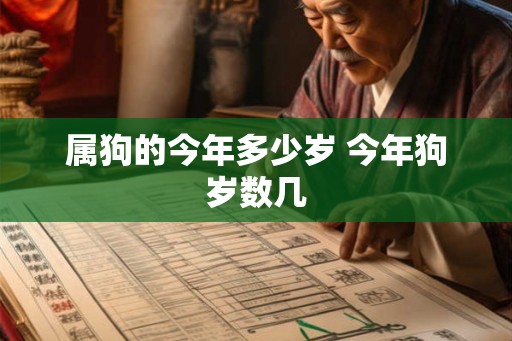 属狗的今年多少岁 今年狗岁数几