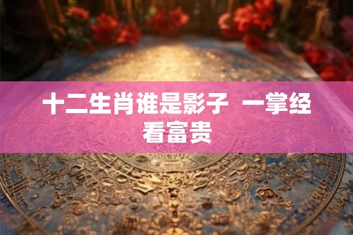十二生肖谁是影子  一掌经看富贵