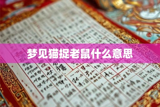 梦见猫捉老鼠什么意思
