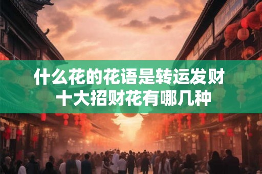 什么花的花语是转运发财  十大招财花有哪几种