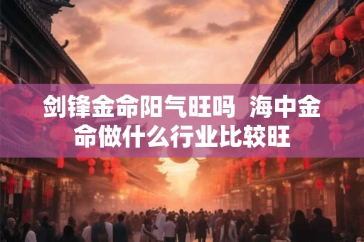 剑锋金命阳气旺吗  海中金命做什么行业比较旺
