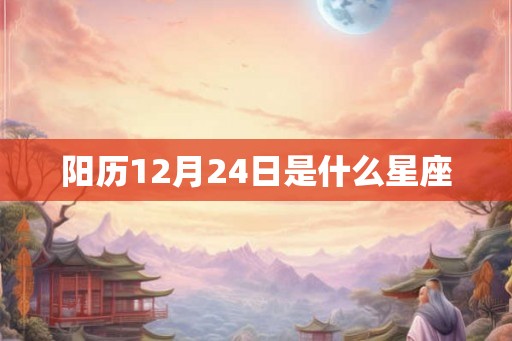 阳历12月24日是什么星座