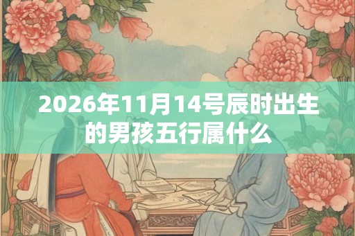 2026年11月14号辰时出生的男孩五行属什么