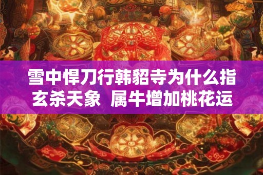 雪中悍刀行韩貂寺为什么指玄杀天象  属牛增加桃花运的方法