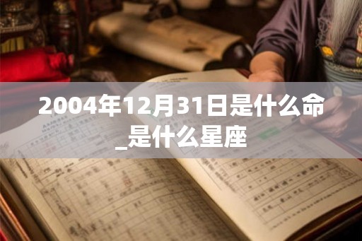 2004年12月31日是什么命_是什么星座 2004年12月31日是什么命_是什么星座