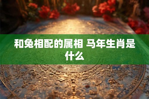 和兔相配的属相 马年生肖是什么