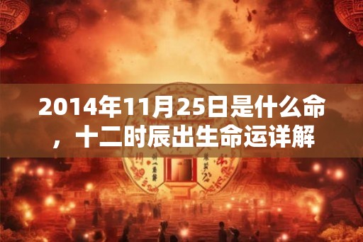 2014年11月25日是什么命，十二时辰出生命运详解
