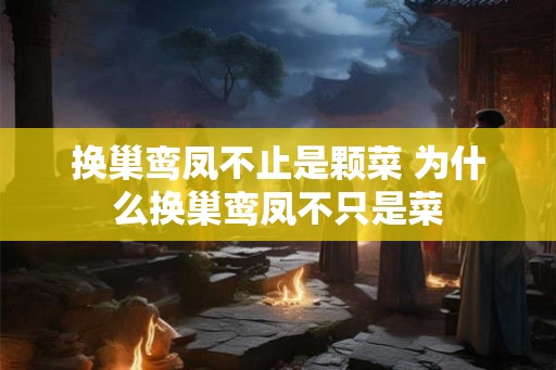 换巢鸾凤不止是颗菜 为什么换巢鸾凤不只是菜 换巢鸾凤不止是颗菜 为什么换巢鸾凤不只是菜