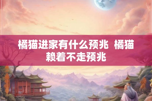 橘猫进家有什么预兆 橘猫赖着不走预兆 橘猫进家有什么预兆 橘猫赖着不走预兆