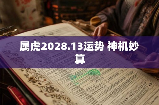 属虎2028.13运势 神机妙算