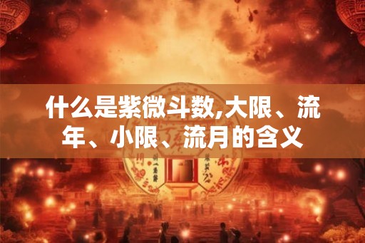 什么是紫微斗数,大限、流年、小限、流月的含义