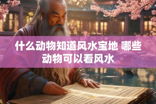什么动物知道风水宝地 哪些动物可以看风水