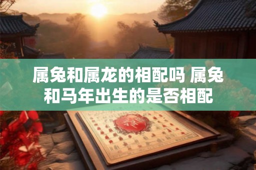 属兔和属龙的相配吗 属兔和马年出生的是否相配