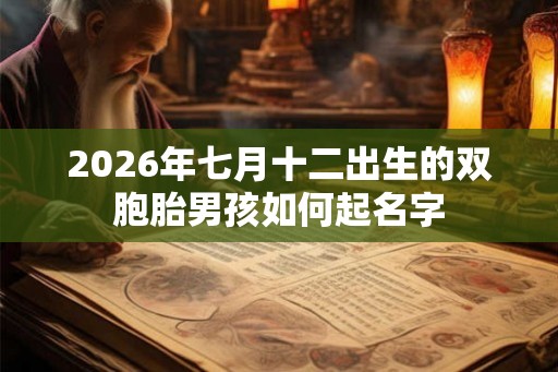 2026年七月十二出生的双胞胎男孩如何起名字