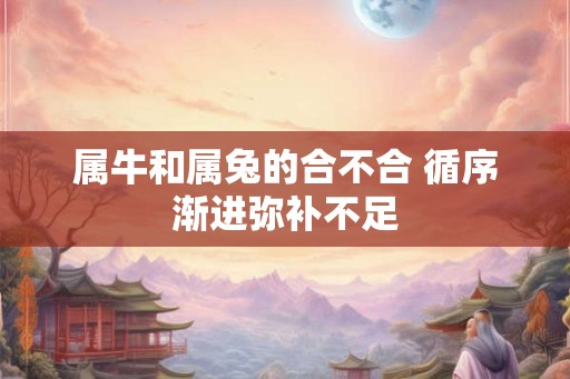 属牛和属兔的合不合 循序渐进弥补不足