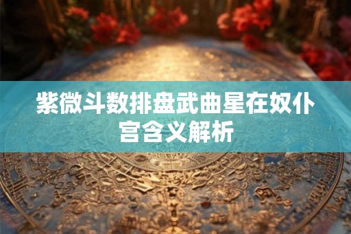 紫微斗数排盘武曲星在奴仆宫含义解析