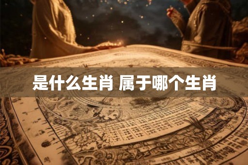 是什么生肖 属于哪个生肖
