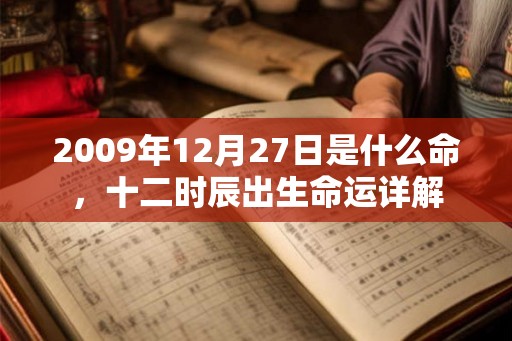 2009年12月27日是什么命，十二时辰出生命运详解