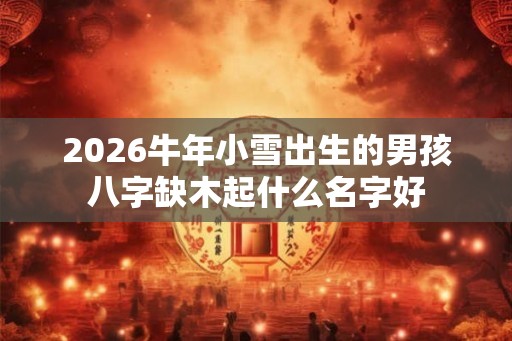 2026牛年小雪出生的男孩八字缺木起什么名字好 2026牛年小雪出生的男孩八字缺木起什么名字好