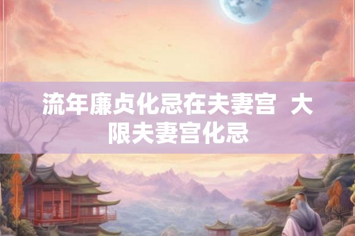 流年廉贞化忌在夫妻宫 大限夫妻宫化忌 流年廉贞化忌在夫妻宫 大限夫妻宫化忌