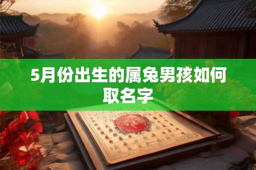 5月份出生的属兔男孩如何取名字