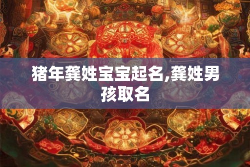 猪年龚姓宝宝起名,龚姓男孩取名