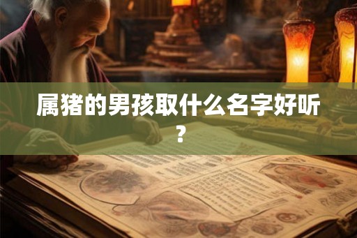 属猪的男孩取什么名字好听？