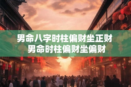 男命八字时柱偏财坐正财 男命时柱偏财坐偏财 男命八字时柱偏财坐正财 男命时柱偏财坐偏财