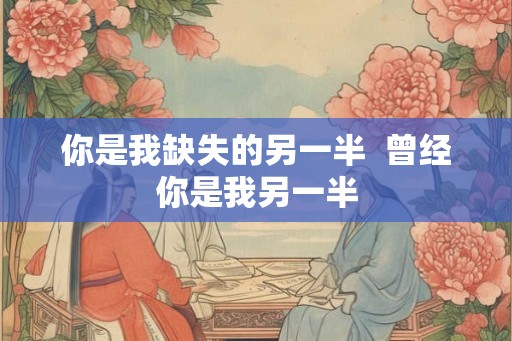 你是我缺失的另一半  曾经你是我另一半