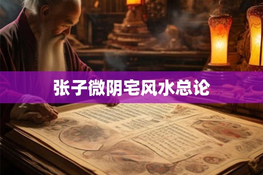 张子微阴宅风水总论 张子微阴宅风水总论