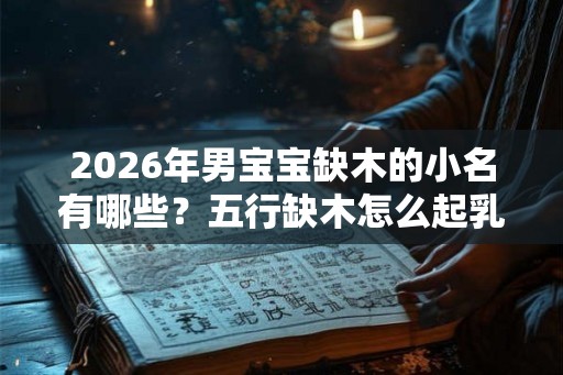 2026年男宝宝缺木的小名有哪些？五行缺木怎么起乳名