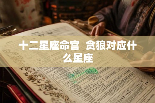 十二星座命宫  贪狼对应什么星座