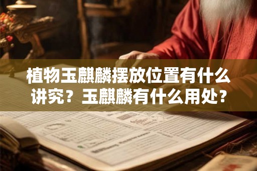 植物玉麒麟摆放位置有什么讲究？玉麒麟有什么用处？