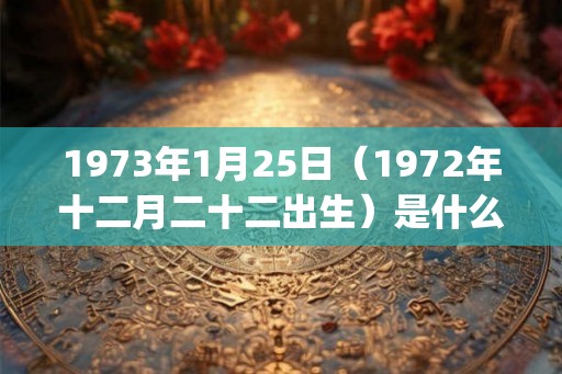 1973年1月25日（1972年十二月二十二出生）是什么命_命运如何