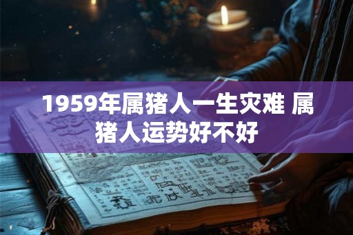 1959年属猪人一生灾难 属猪人运势好不好