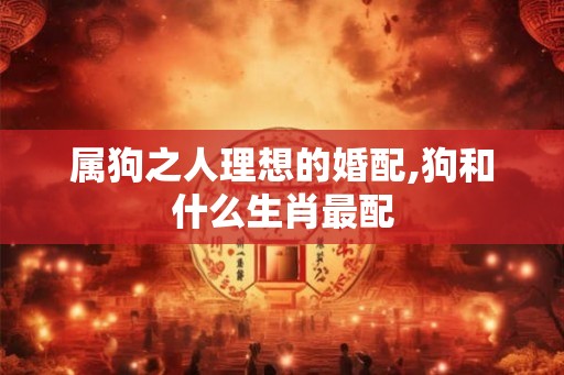 属狗之人理想的婚配,狗和什么生肖最配