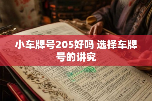 小车牌号205好吗 选择车牌号的讲究
