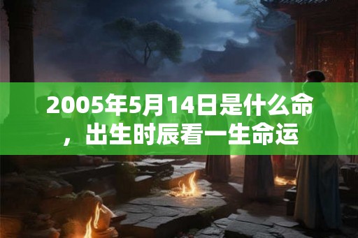 2005年5月14日是什么命，出生时辰看一生命运