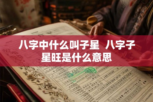 八字中什么叫子星  八字子星旺是什么意思