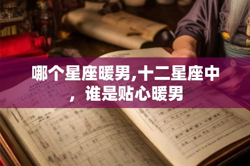 哪个星座暖男,十二星座中，谁是贴心暖男