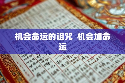 机会命运的诅咒  机会加命运