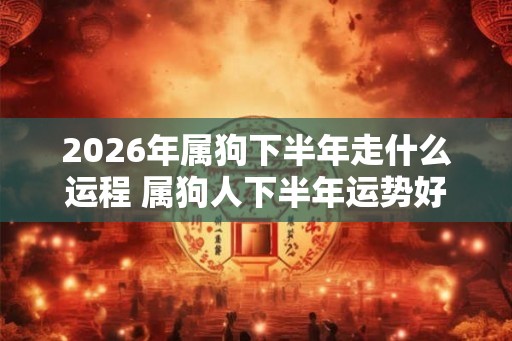 2026年属狗下半年走什么运程 属狗人下半年运势好不好