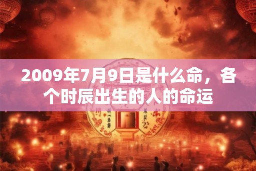 2009年7月9日是什么命，各个时辰出生的人的命运