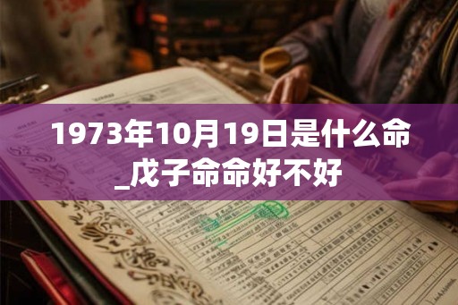 1973年10月19日是什么命_戊子命命好不好 1973年10月19日是什么命_戊子命命好不好
