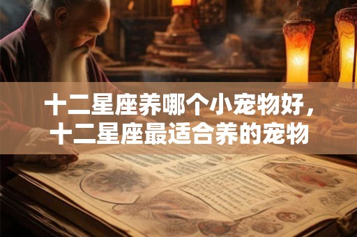 十二星座养哪个小宠物好，十二星座最适合养的宠物