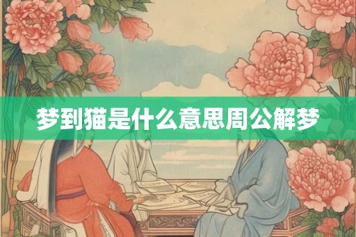 梦到猫是什么意思周公解梦